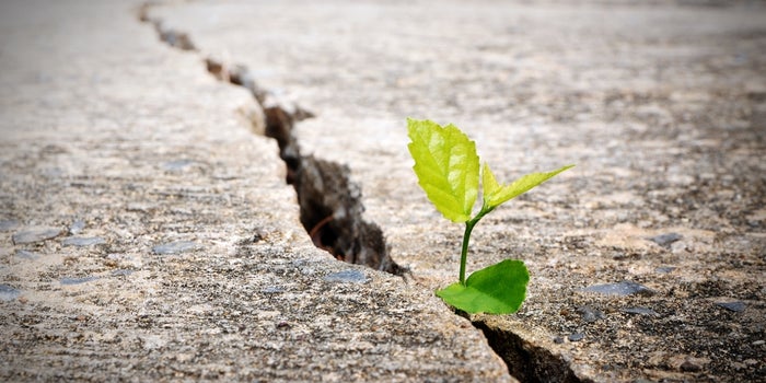 Here's How Your Goals Are Holding You Back From Success