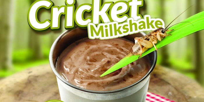 An April Fool's Day Prank Led This Burger Chain to Start Selling Milkshakes Made With Crickets