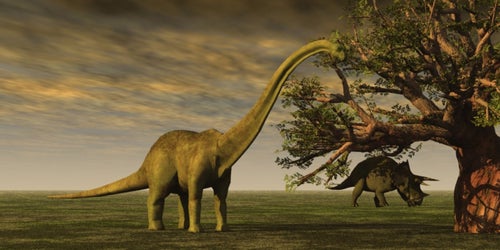 Scientists Say They Can Recreate Living Dinosaurs Within the Next 5 Years