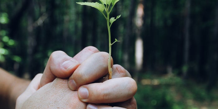3 Easy Steps to Personal Mastery and Emotional Health
