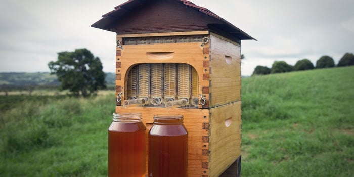 A Father-Son Team Raises $10 Million for Their Beekeeping Invention on Indiegogo