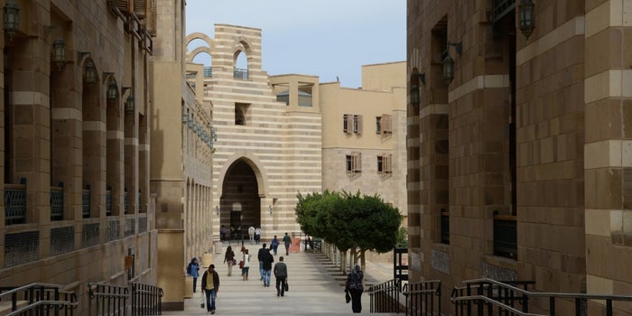 Educating Execs: The American University in Cairo, Egypt