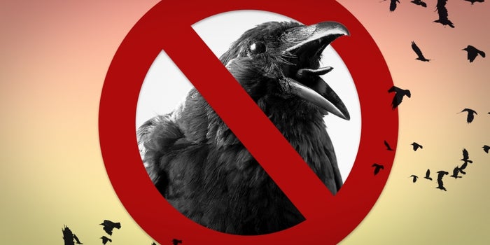 5 Ways We Can All Silence Our Inner Crow