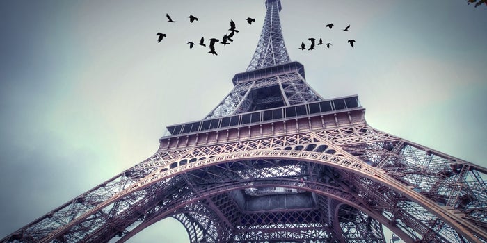 Two Uber Execs Reportedly Arrested in Paris
