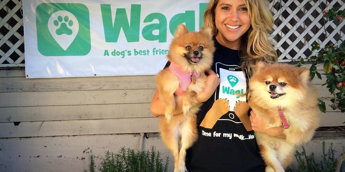 Meet Wag, an App to Help You Find a Dog Walker