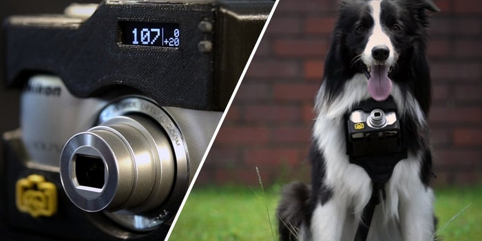 Old Dog, New Pics: This New Nikon Camera Case Let's Your Pup Snap Photos
