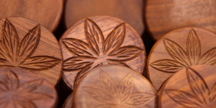 This Incubator Is Helping Cannabis Businesses Blaze a Trail Forward in a Budding Industry