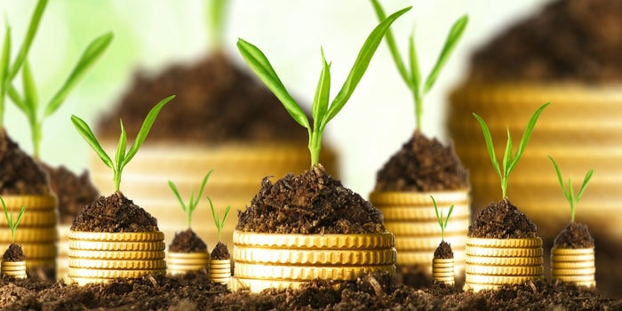 4 Factors VCs Consider When Deciding to Invest In a Founder