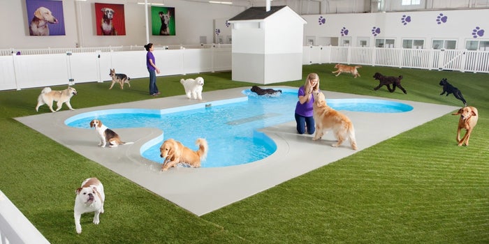 NYC's JFK Airport Is Building a New Luxury Terminal Exclusively for Animals