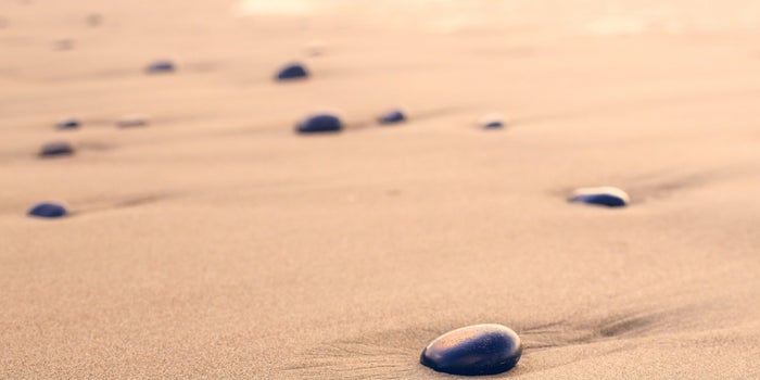 More Than Half of Americans Haven't Taken a Vacation in the Past Year, Study Shows