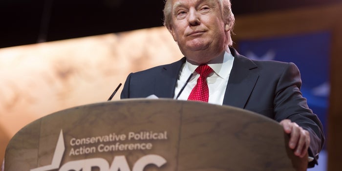 How to Trump-Proof Your Small Business