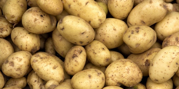 Forget Glitter: The New Thing to Ship Your Enemies Is a Potato