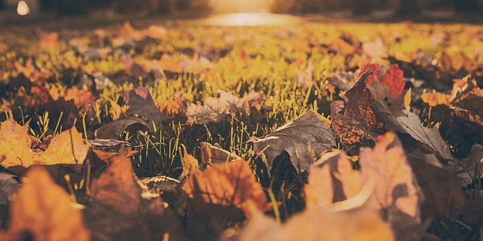 What Entrepreneurs Should Do First Thing in the Morning