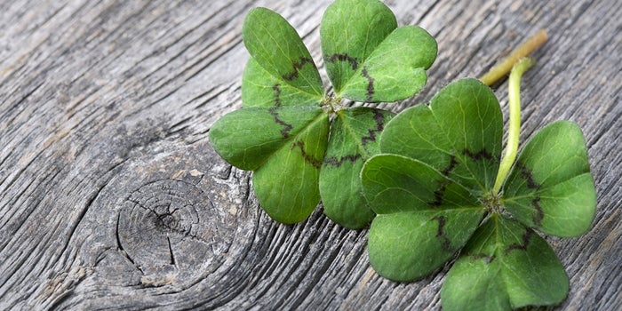 10 Ways to Become Luckier in Business