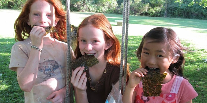 How a Health-Conscious Mom Convinced Millions to Snack on Seaweed