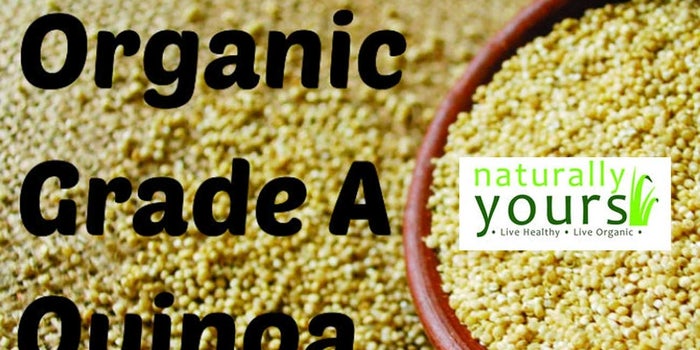 Naturally Yours journey from a single store in Mumbai to a premier online portal