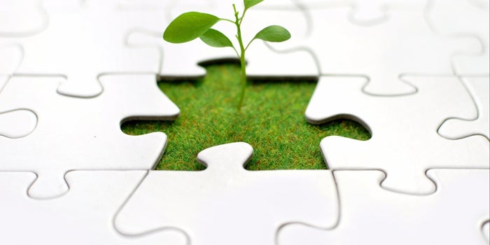 4 Ways Your Startup Could Save the World