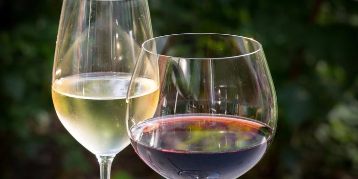 How South Africa Built a Booming Wine Business