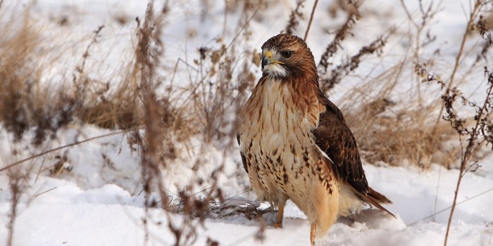 How to Keep a Hawk's Eye on Your Holiday Season Cash Flow