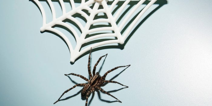 Why More Startups Are Paying Attention to What They Learned in Bio