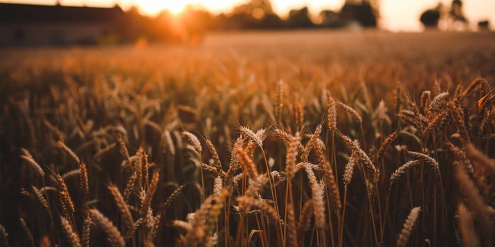 How Ag-Tech Ripened Into a Growing Market
