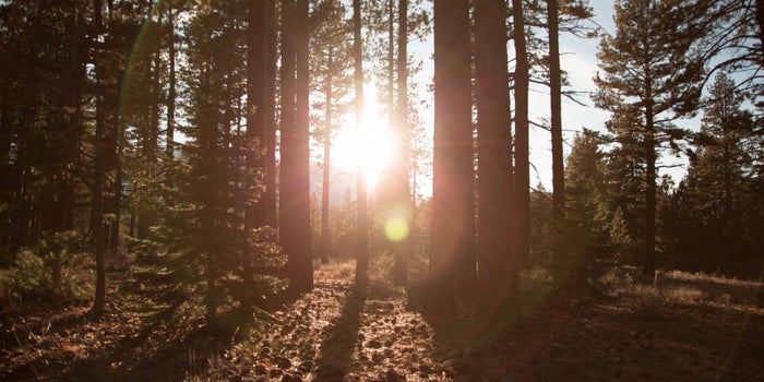 8 Tips to Find Inner Peace