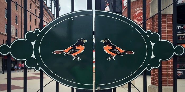 How the Power of Entrepreneurial Relationships Is Rebuilding Baltimore