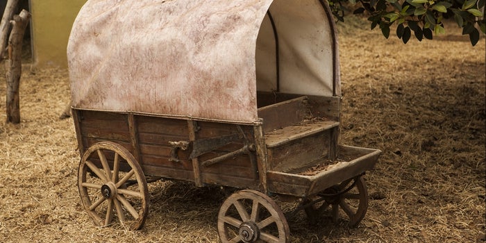 What 'The Oregon Trail' Can Teach You About Building a $1 Billion Business