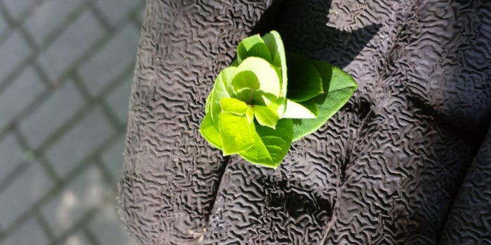 3 Factors Holding You Back From Massive Growth