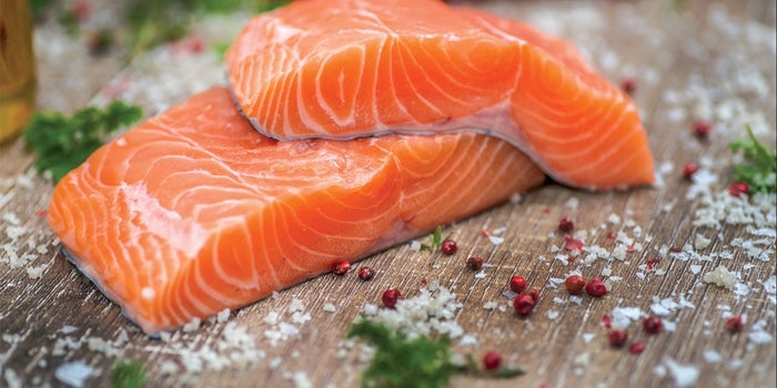 Will Genetically Modified Salmon Help Feed the World, or Drive the Species to Extinction?