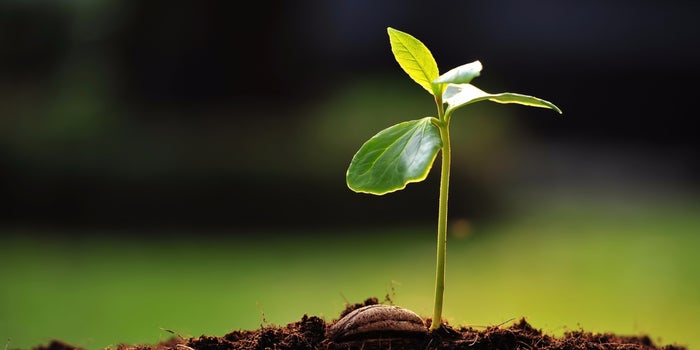 Learn What Fuels the Fastest-Growing Franchises of the Year