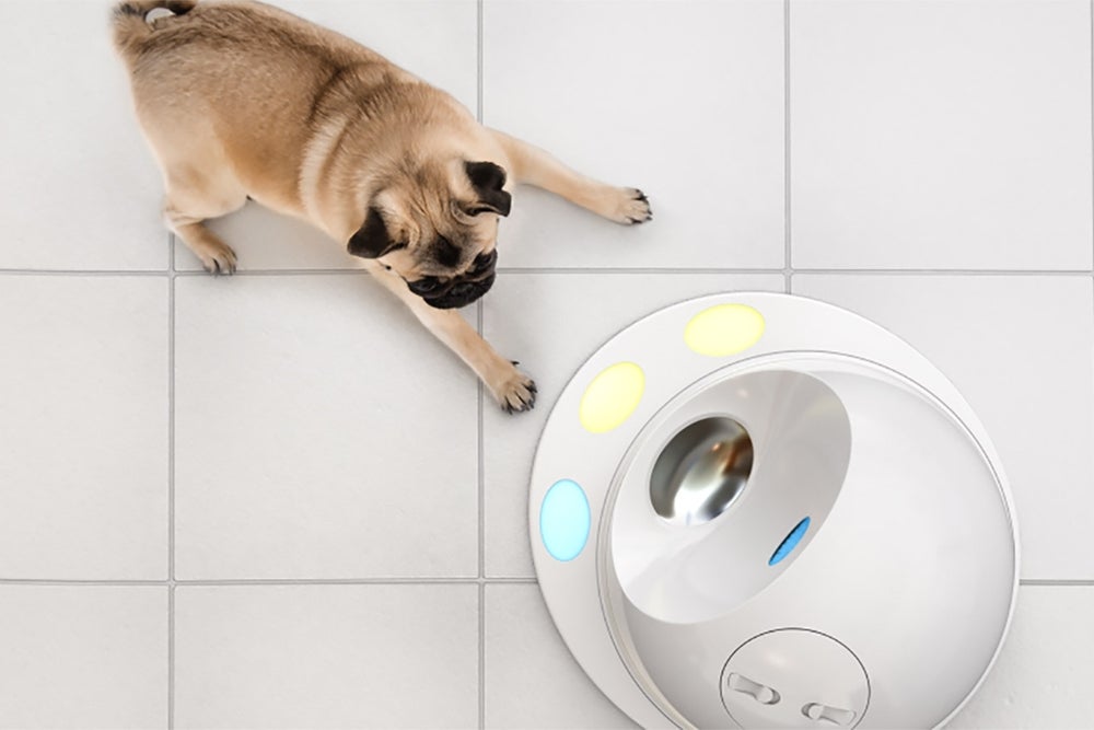 The 6 Weirdest Gadgets at CES