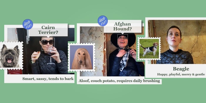 Microsoft's Wacky AI App Matches You With a Dog Breed