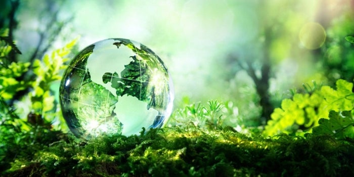 How Going Green Can Grow Your Business