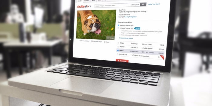 How Shutterstock Is Training Its System to Help You Find Better Photos