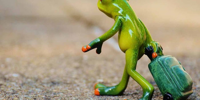 What I Took Away From My Entrepreneurial Journey