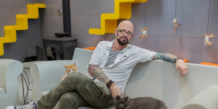 3 Sharp Business Lessons Entrepreneurs Can Learn From Cats, Care of the Host of 'My Cat From Hell'