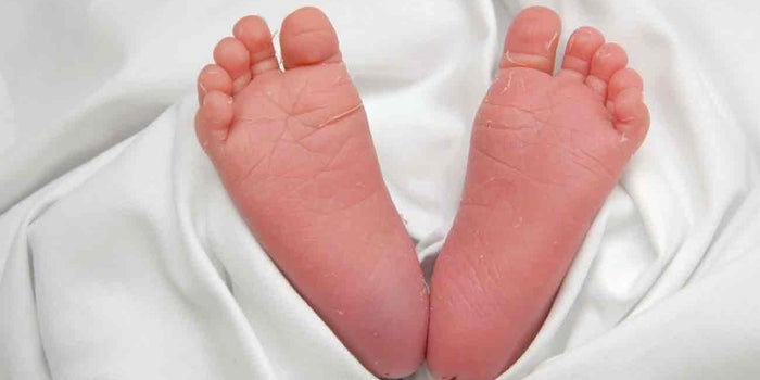 A Paradigm Shift In Newborn Photography