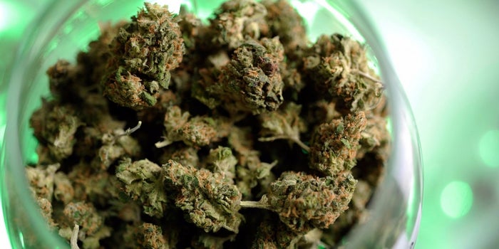 Happening Now: Cannabis Industry Pioneers Chat Live on Facebook to Commemorate 4/20