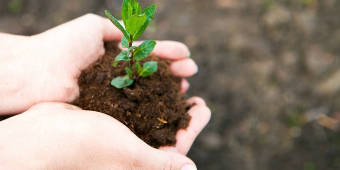 Estudiantes de Veracruz ganan Premio Joven Emprendedor Forestal