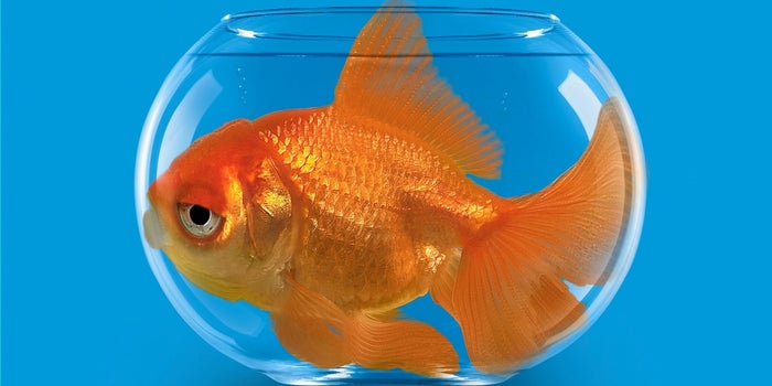 5 Ways Winning Startups Tackle Tough Growth Constraints
