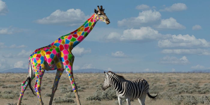 How to Get Noticed in Today's Crowded Business Environment