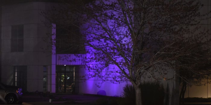 I'm a Huge Prince Fan and Went to Parties at Paisley Park. But Now I Understand How Perfect an Entrepreneur He Was.