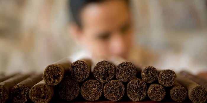 6 Traits Costa Rican Drug Dealers and Successful Entrepreneurs Have in Common
