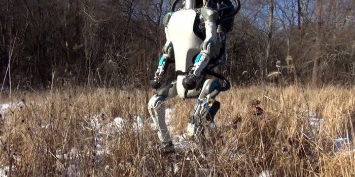 Are We Jumping The Gun When We Worry About AI?