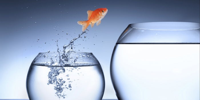 Next Generation Crowdfunding Starts May 16. Expect Opportunity and Growing Pains.