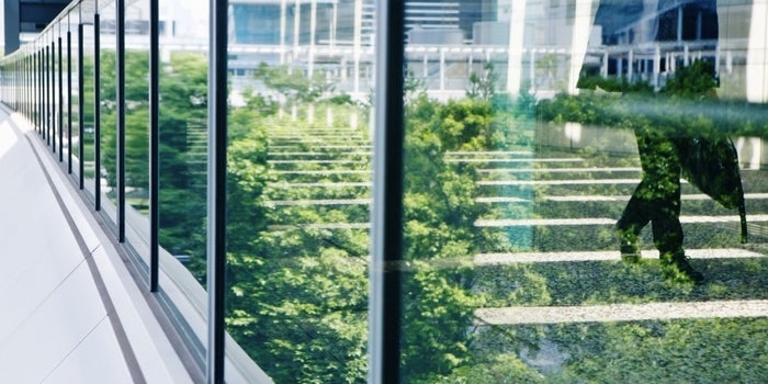 4 Ways Entrepreneurs Can Practice 'Conscious Capitalism'