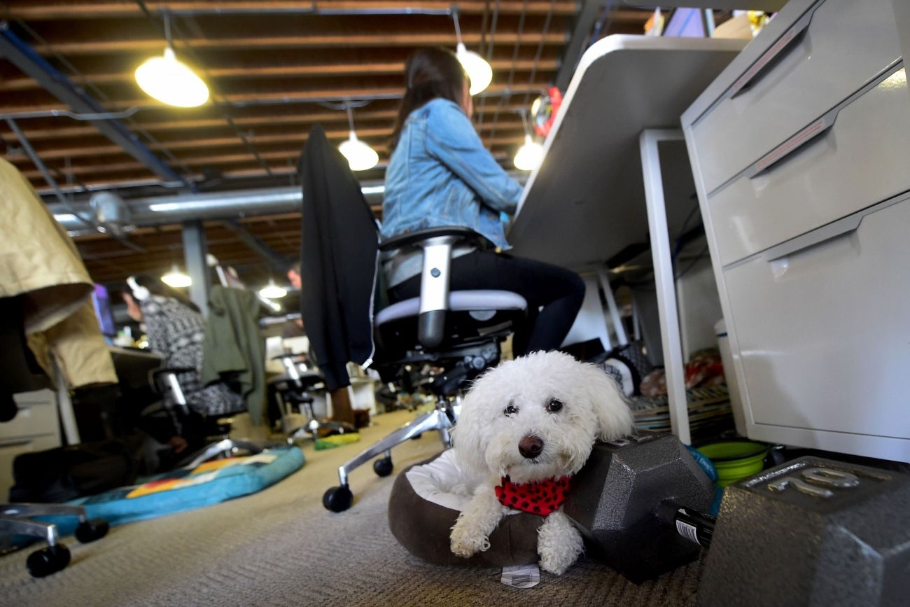 Startup Culture 2.0: Why Kegs No Longer Cut It