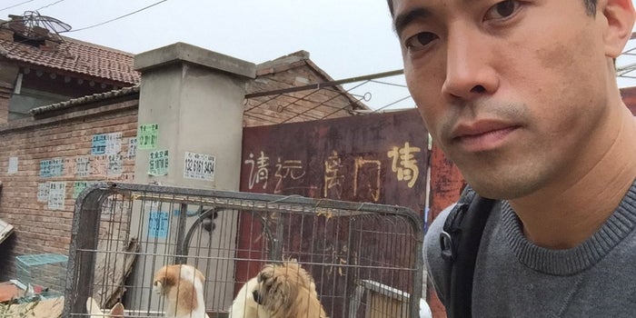 This Entrepreneur Goes Undercover to Rescue Dogs From Torture in Asia