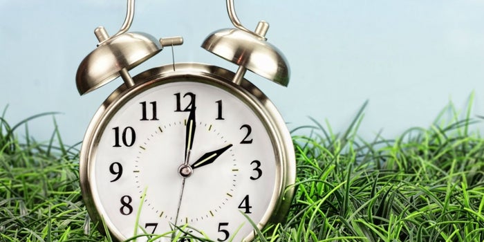 ¡Es viernes! 6 razones para salir temprano de la oficina